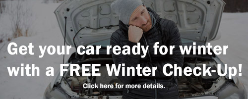Winter Check Up